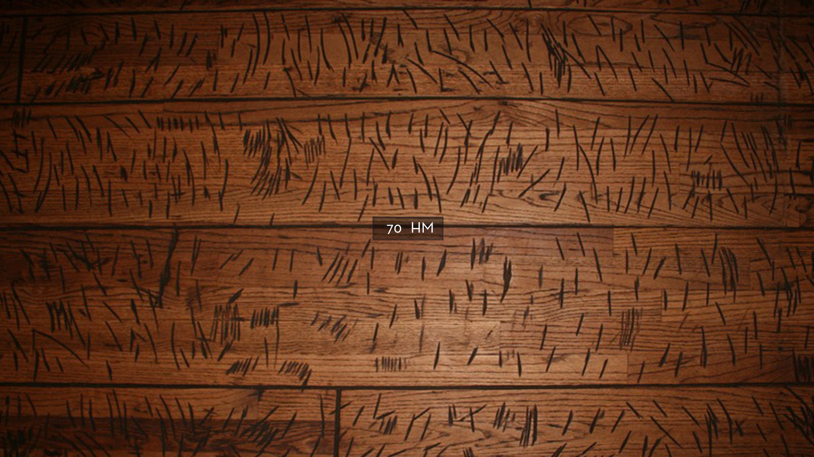 Parquet-Milano-La-nostra-passione-e-il-parquet-HOME-70
